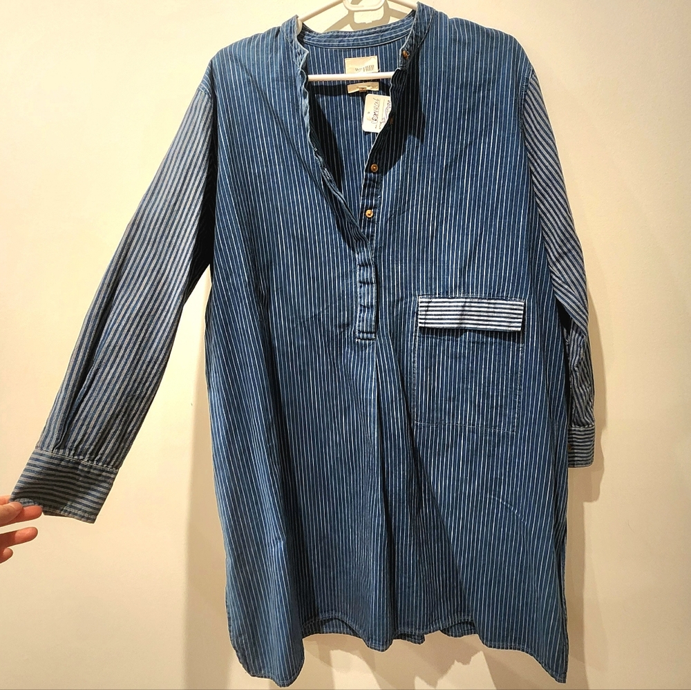 Wilfred Free Denim Striped Dress